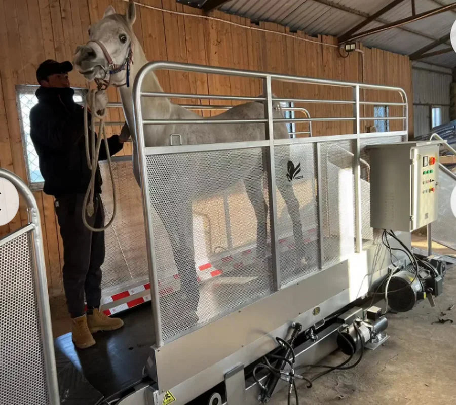 Electric Pet Dog Horse Treadmill for Training Essential Training Supplies for Pets