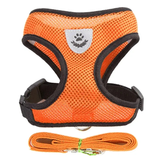 Cat and Small Dog Harness Vest