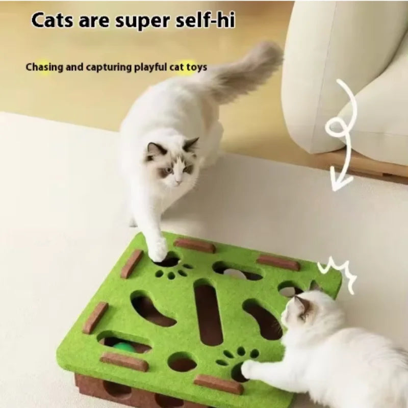 Pet Cat Puzzle Maze