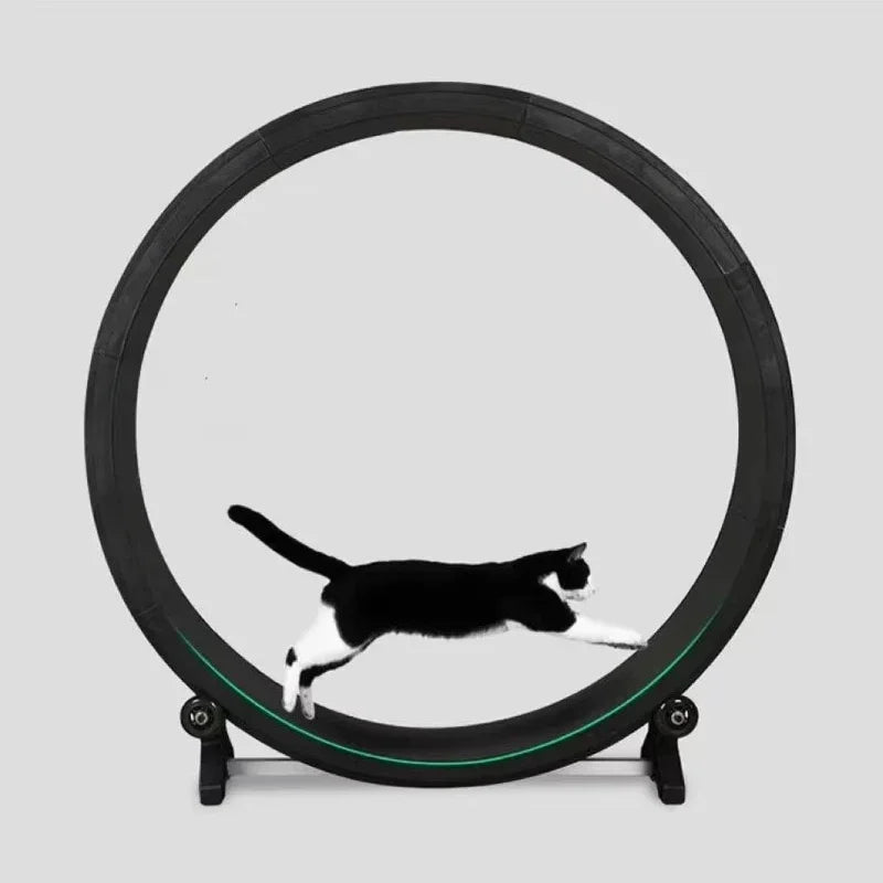 Silent Cat Treadmill Running Wheel