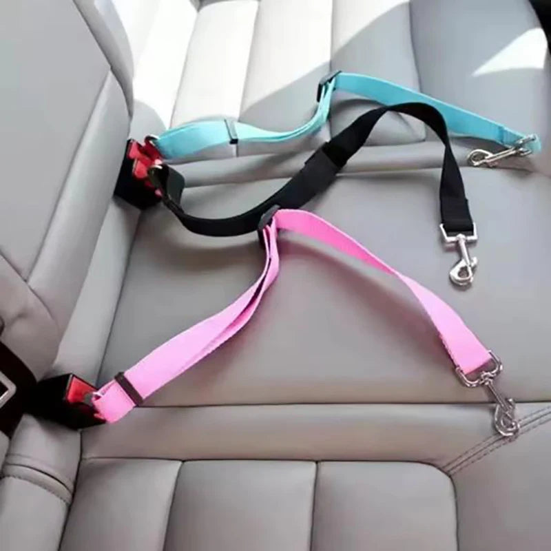 New dog seat belts