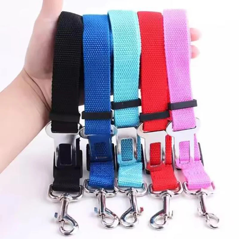 New dog seat belts