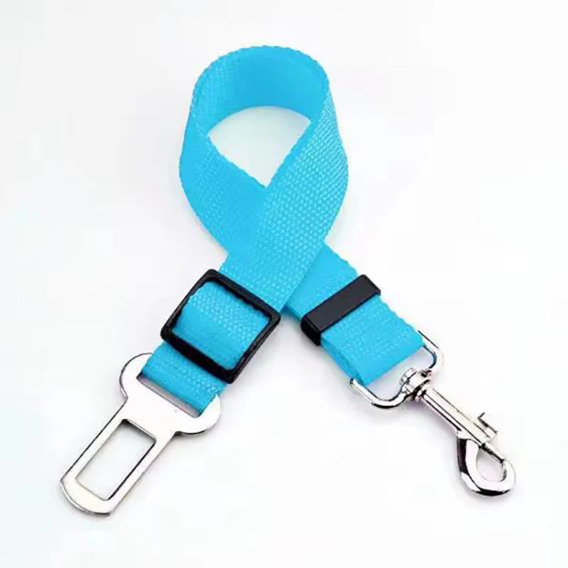 New dog seat belts