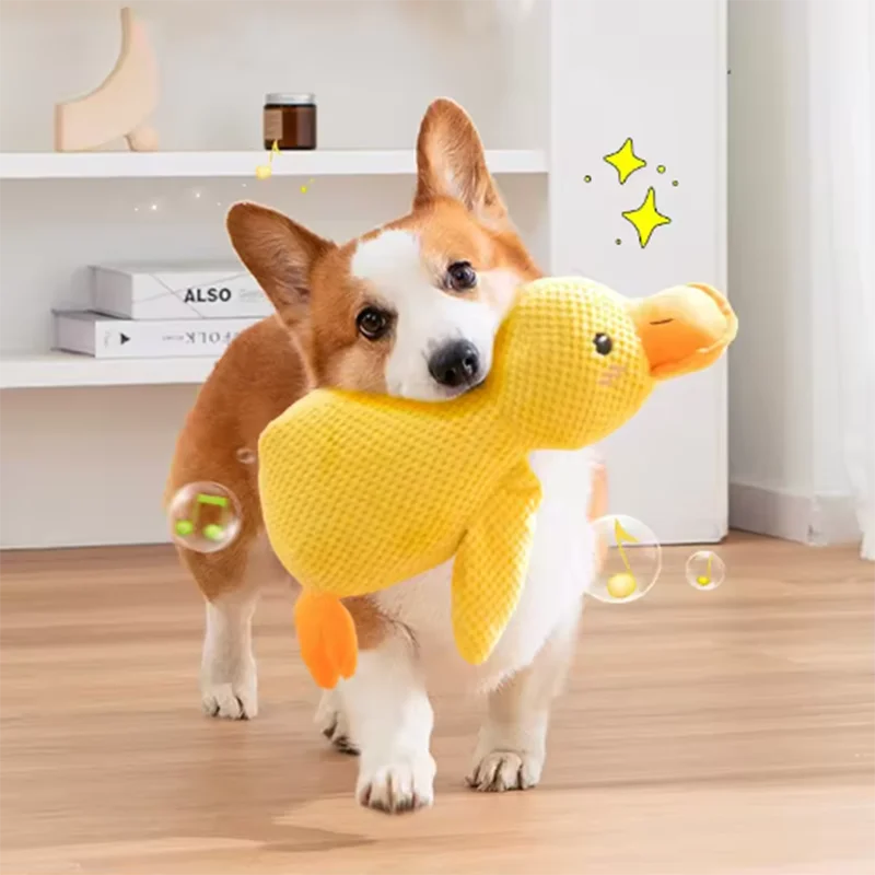 Dog duck toy