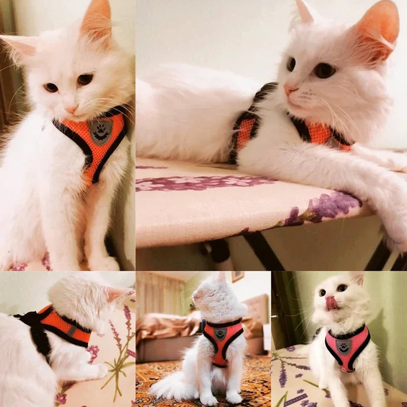 Cat and Small Dog Harness Vest