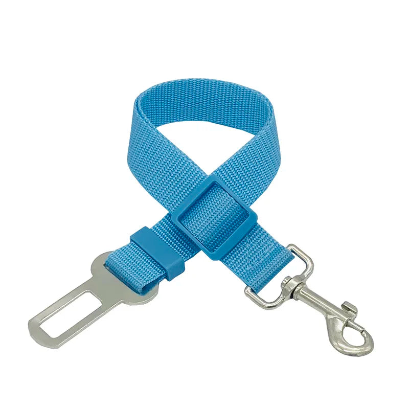 New dog seat belts