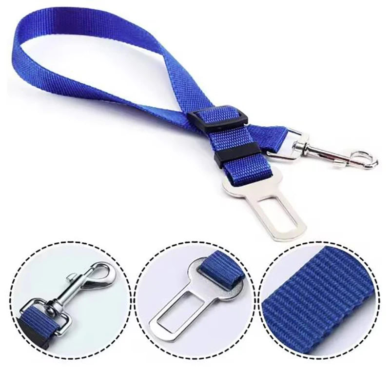 New dog seat belts