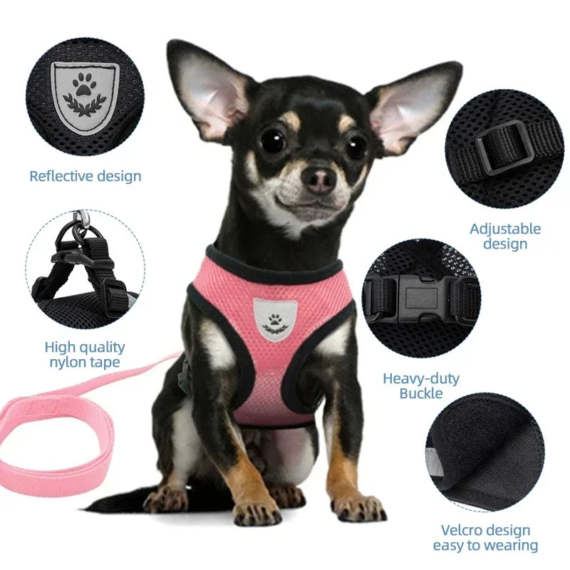 Cat and Small Dog Harness Vest