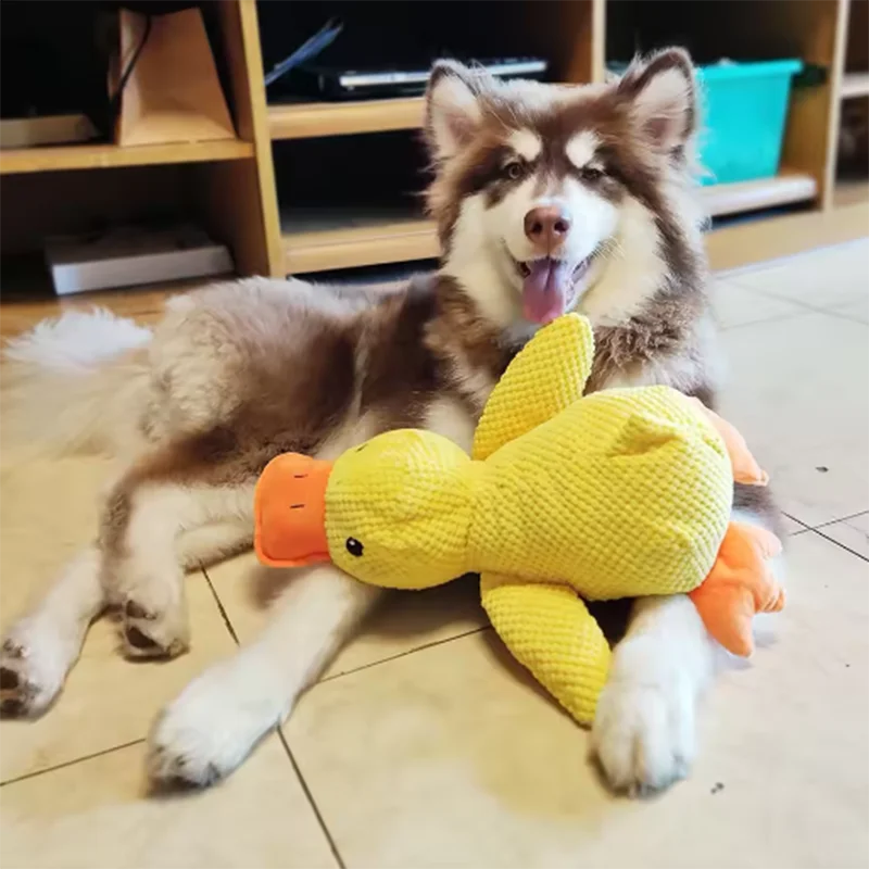 Dog duck toy