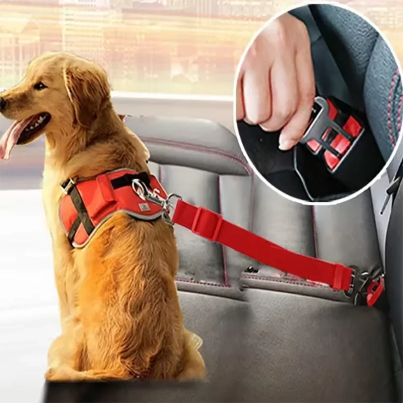 New dog seat belts