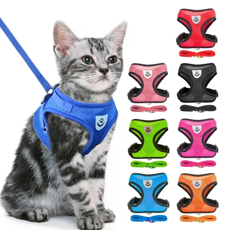 Cat and Small Dog Harness Vest