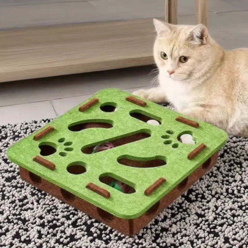 Pet Cat Puzzle Maze