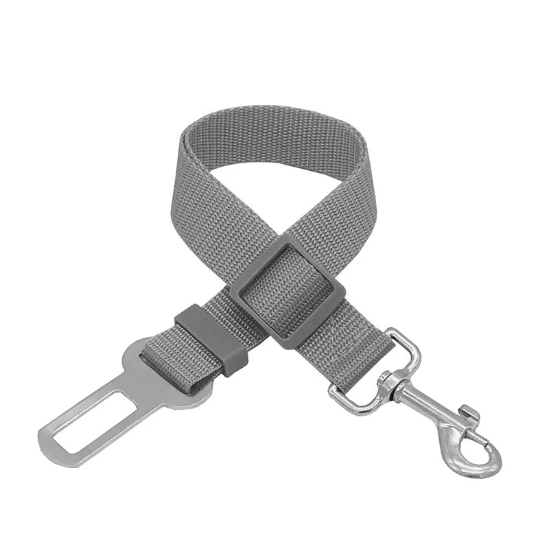 New dog seat belts