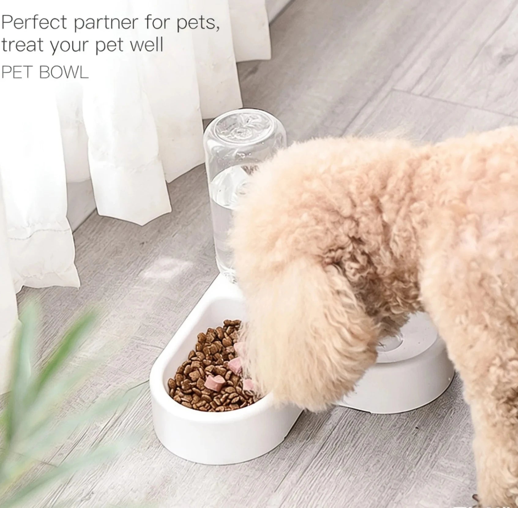 Double Dog and Cat Bowl-Pet and Food Bowl Set with, Pet Feeding Bowl Suitable for Cats and Small Dogs