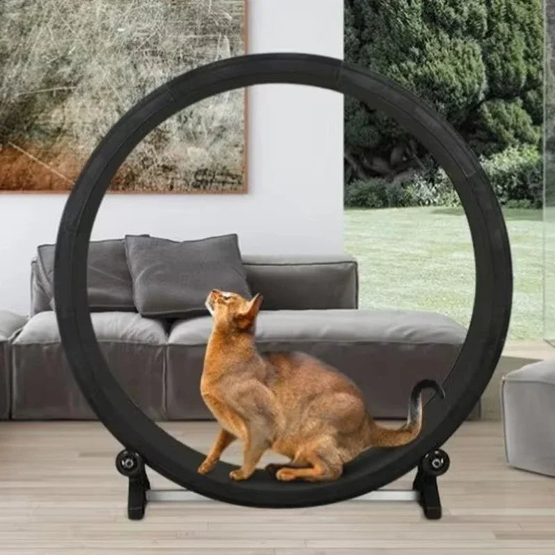 Silent Cat Treadmill Running Wheel