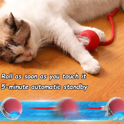 Cat toys and self-exciting cat sticks