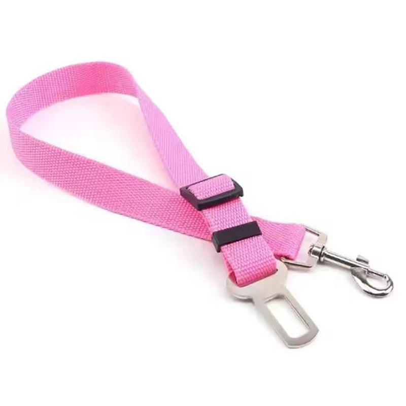 New dog seat belts