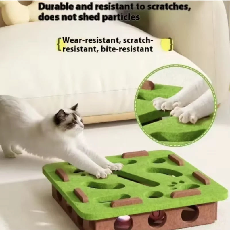 Pet Cat Puzzle Maze