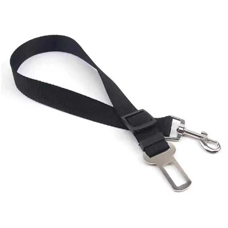 New dog seat belts