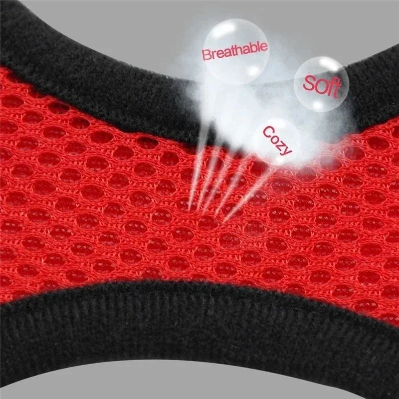 Cat and Small Dog Harness Vest