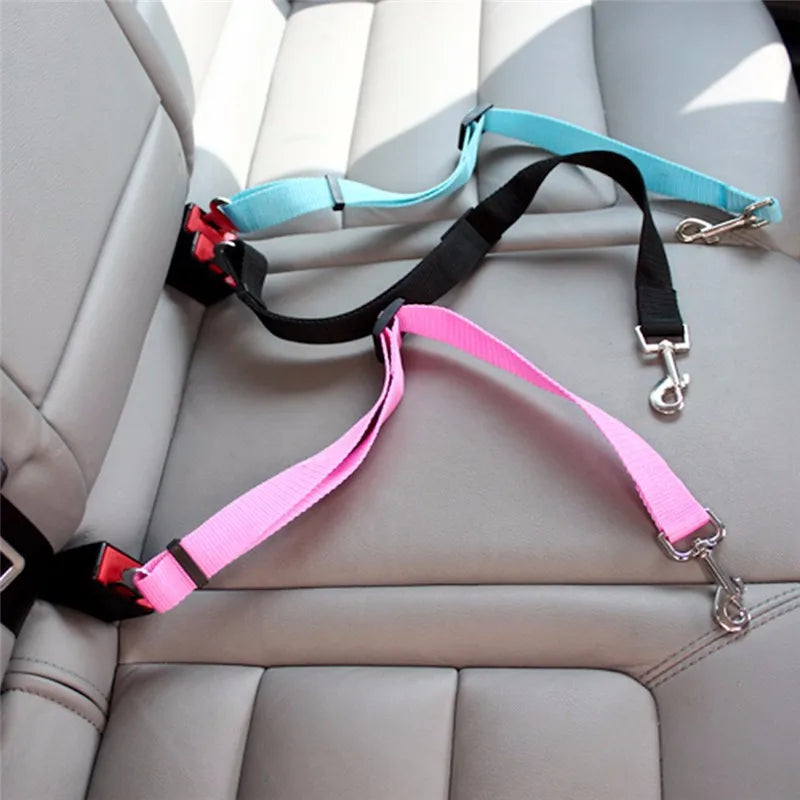 New dog seat belts