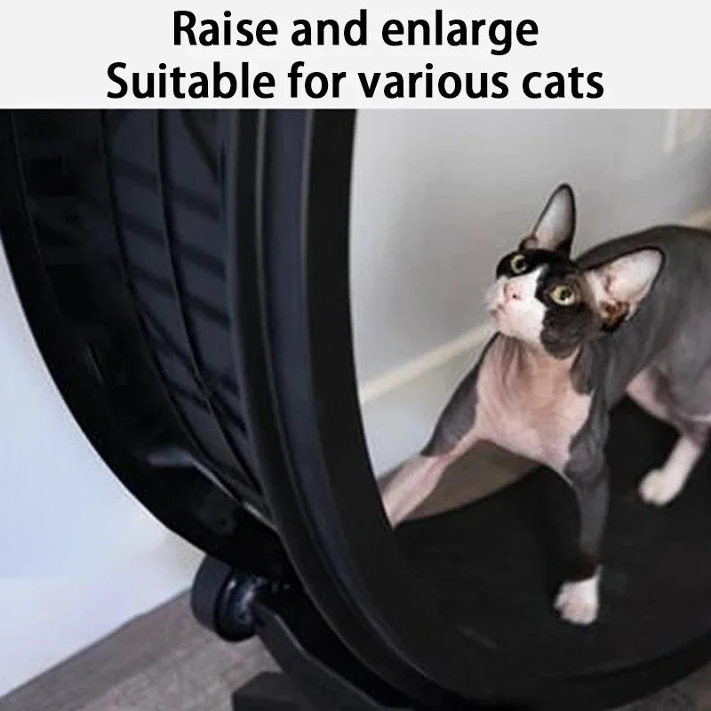 Silent Cat Treadmill Running Wheel