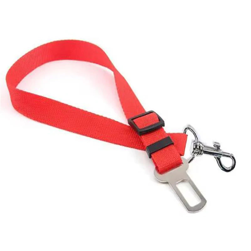 New dog seat belts