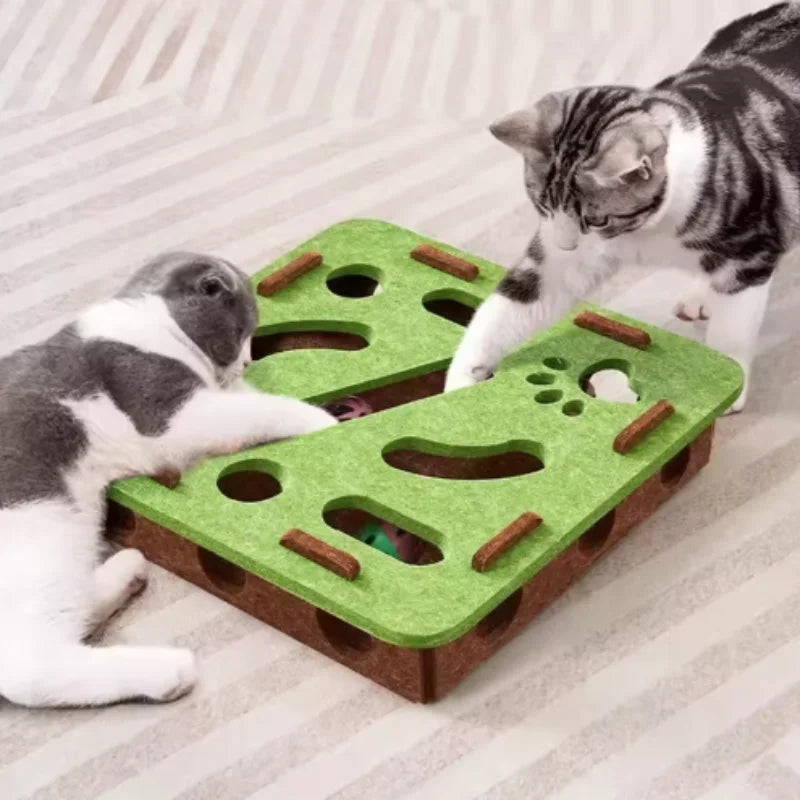 Pet Cat Puzzle Maze