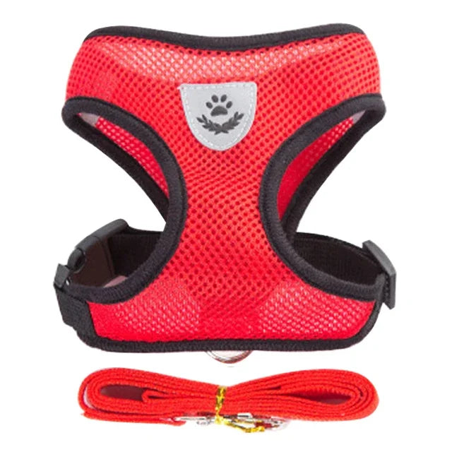 Cat and Small Dog Harness Vest